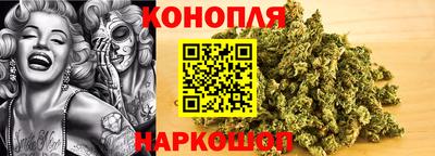 стаф Краснодар