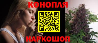стаф Краснодар