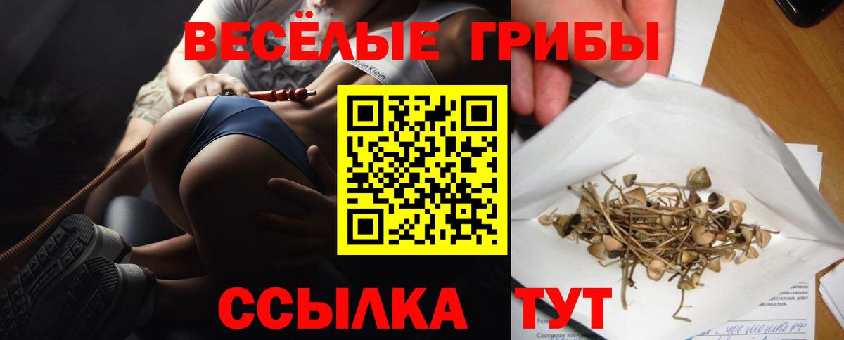 Семилуки  Псилоцибиновые грибы мухоморы  Вход с VPN 